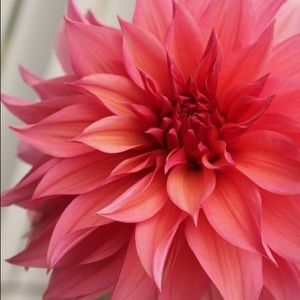 Meet your Posher, Cathy